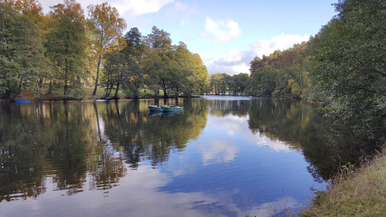 Вілла Osrodek Wypoczynkowy Soszko Сворнеґацє Екстер'єр фото