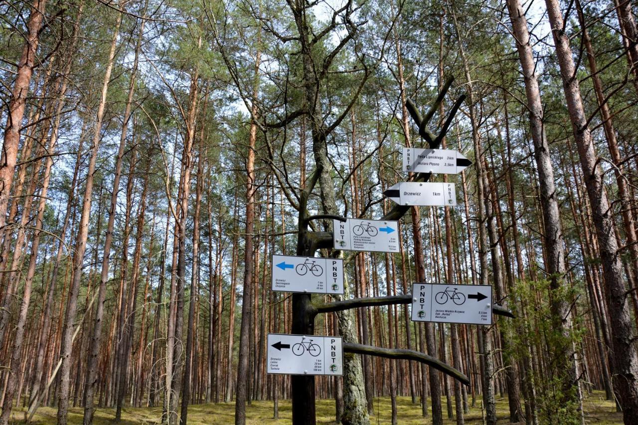 Вілла Osrodek Wypoczynkowy Soszko Сворнеґацє Екстер'єр фото