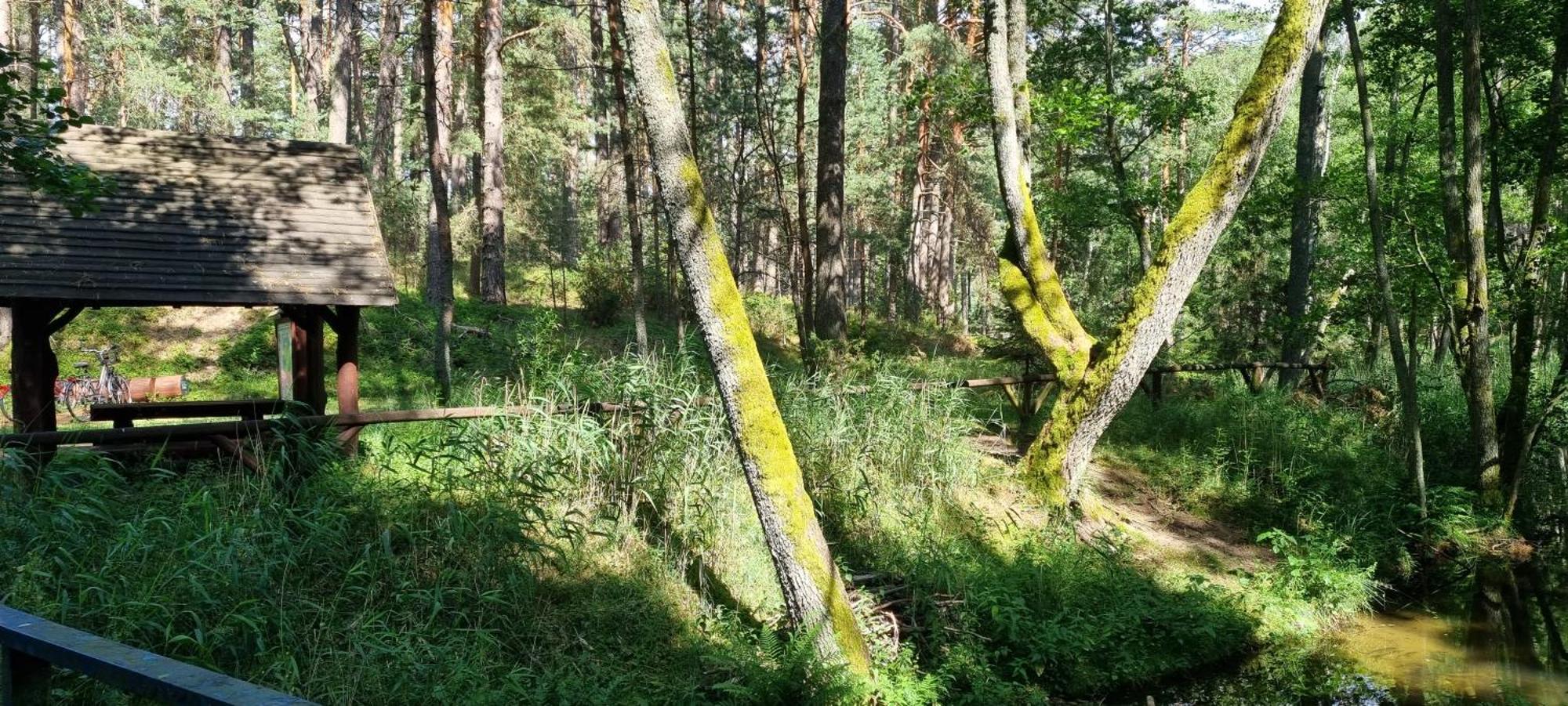 Вілла Osrodek Wypoczynkowy Soszko Сворнеґацє Екстер'єр фото